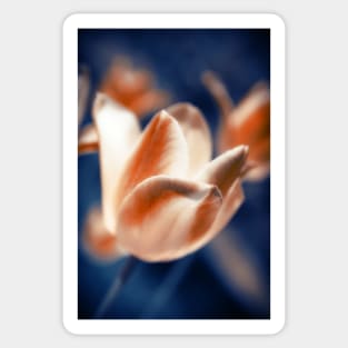 Tulips Flowers Sticker